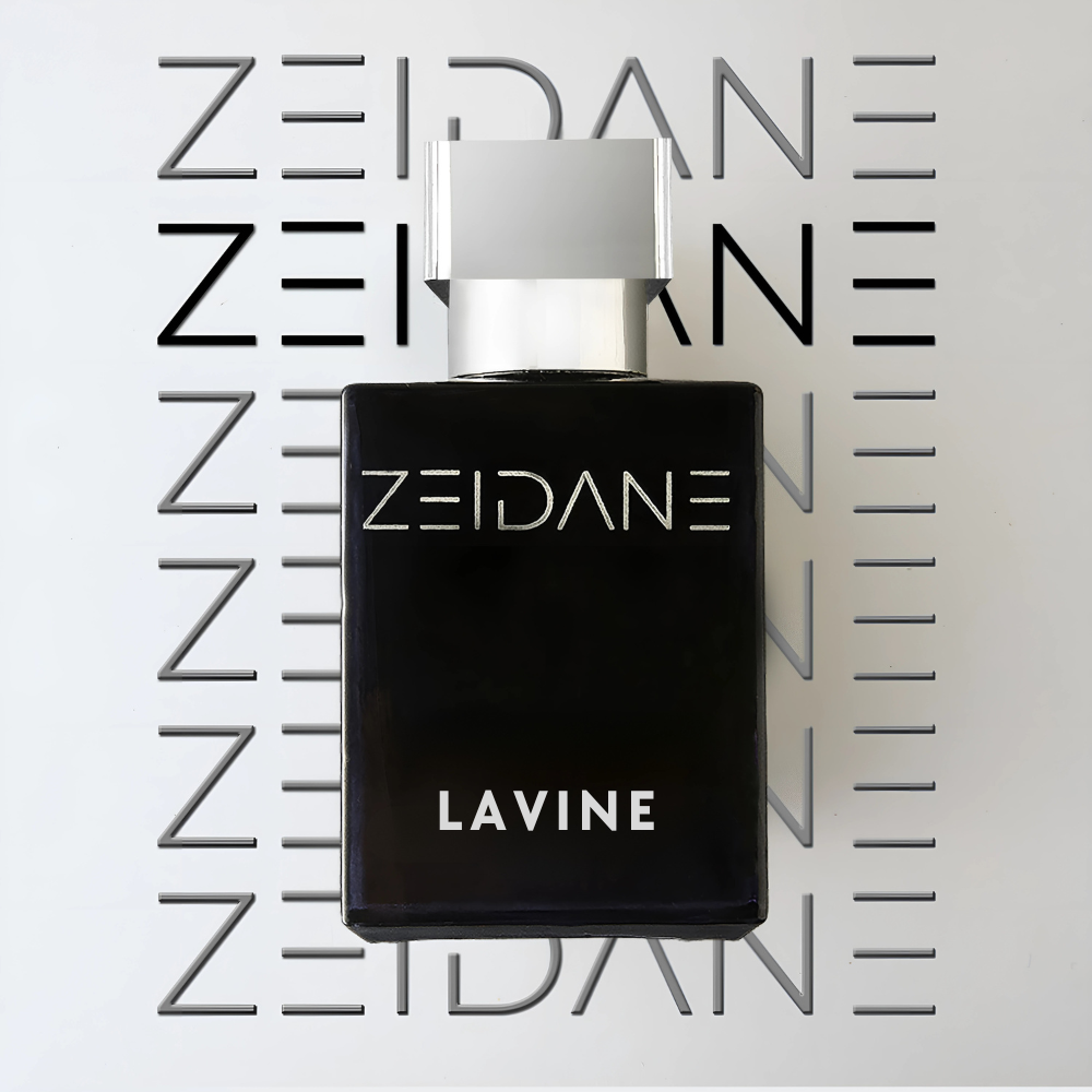 LAVINE
