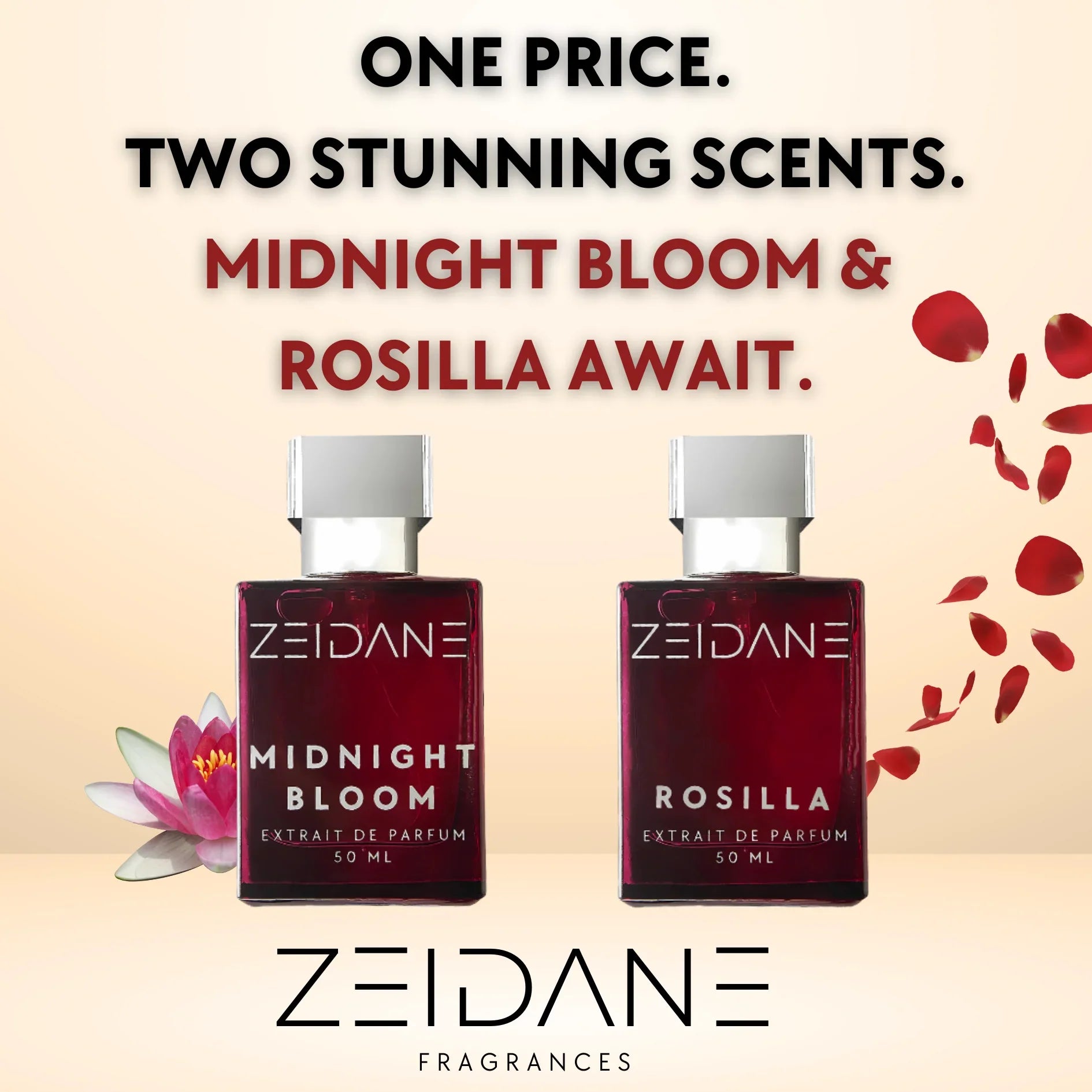 MIDNIGHT BLOOM & ROSILLA - ZEIDANE