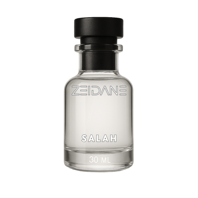 Salah | Long Lasting Fresh Spicy Perfume for Men | Zeidane Pakistan